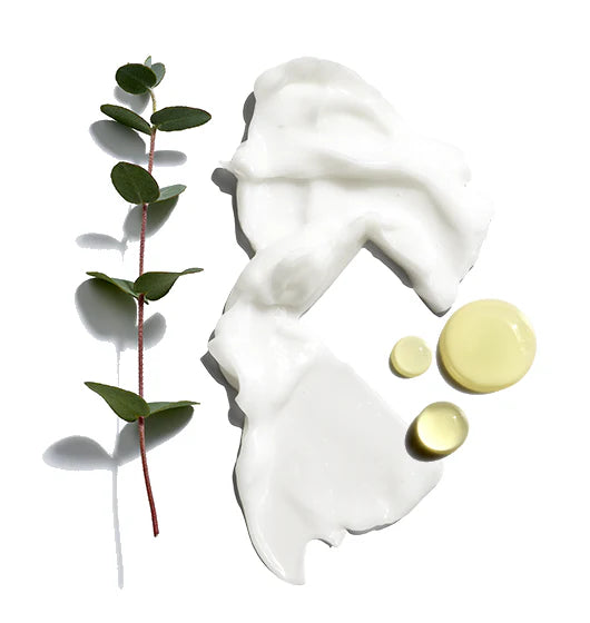 Jack Black Beard Lube