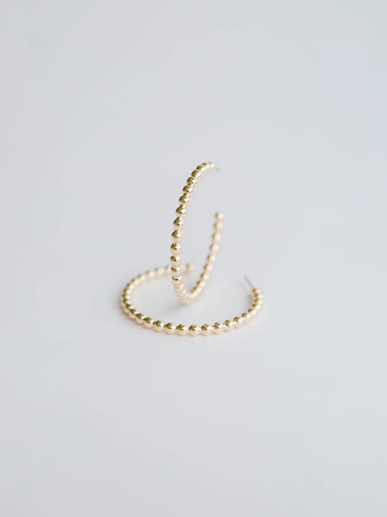 Carlo Hoop Earrings