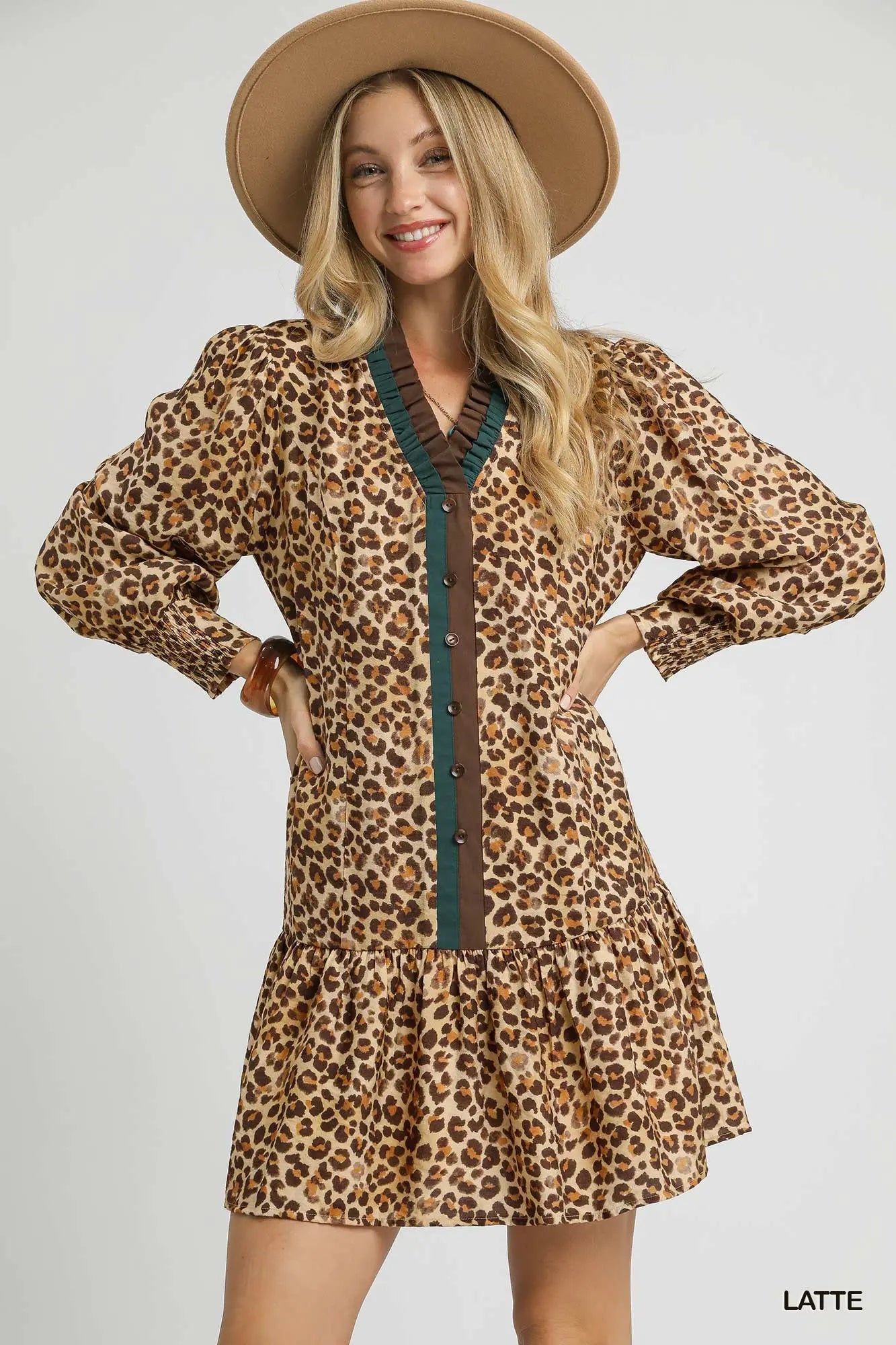 Leopard Print Long Sleeve Mini Dress