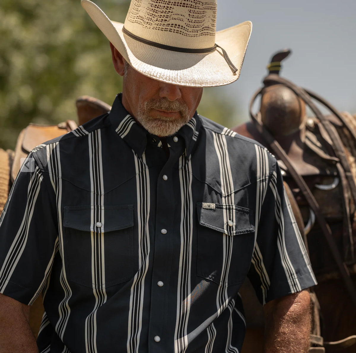 Ferrell THE HATFIELD SHORT SLEEVE PEARL SNAP SHIRT IN BLUE