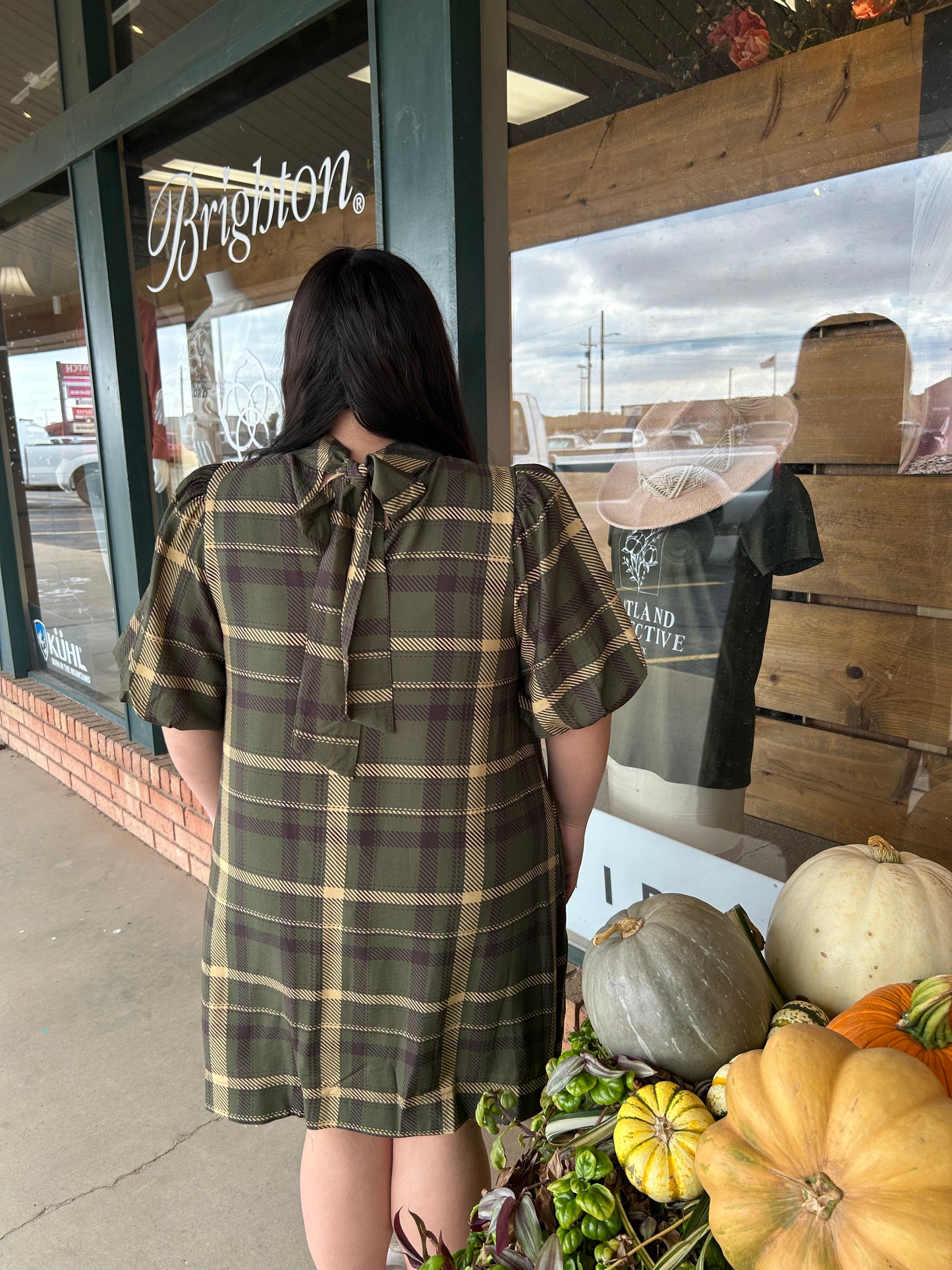Plaid short puff sleeve mini dress with a stand collar and back self-tie detail