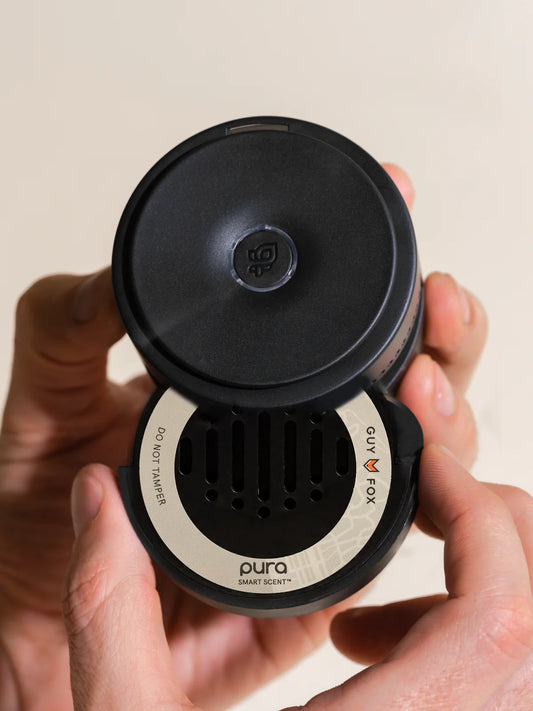 Pura Car Guy Fox Del Mar