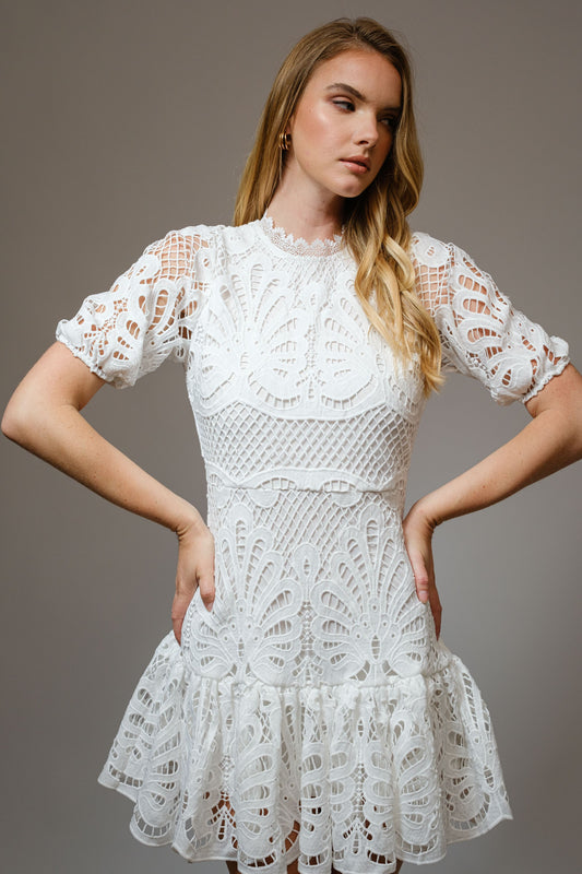 Lace Luxe Dress