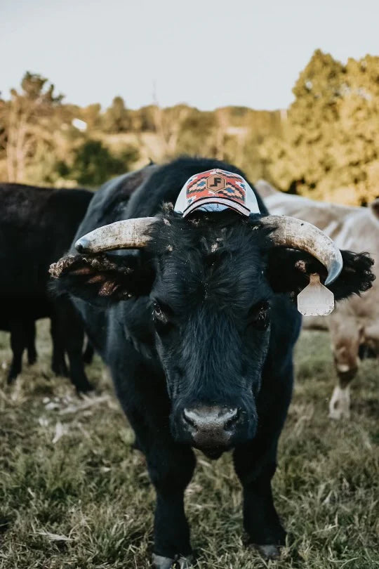 Lane Frost Brand Diamondback Cap