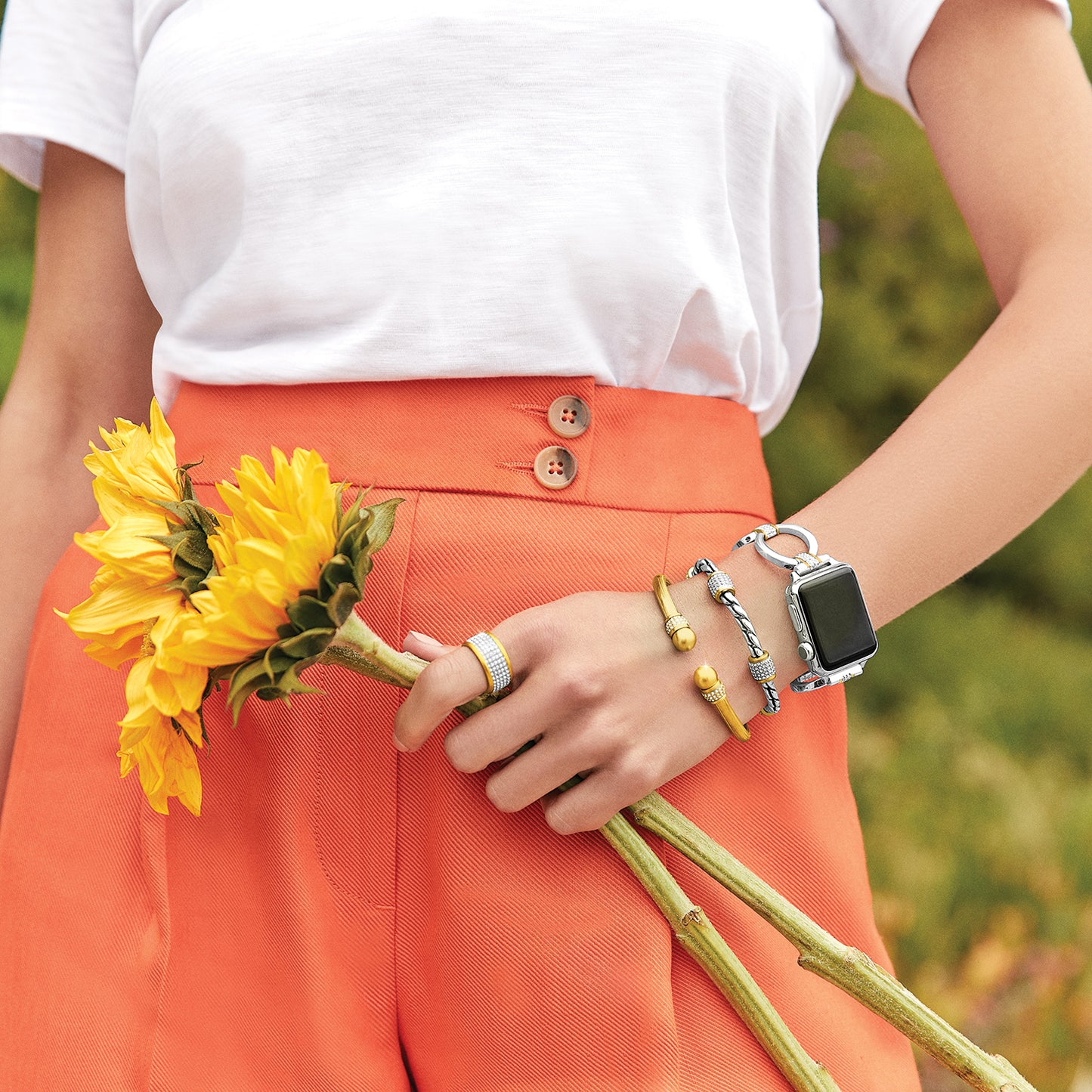 Brighton Meridian Watch Band