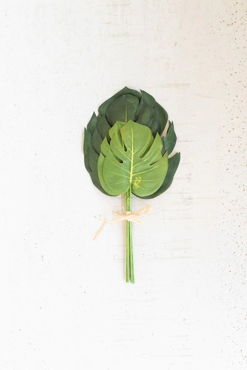 Monstera Leaf Bundle