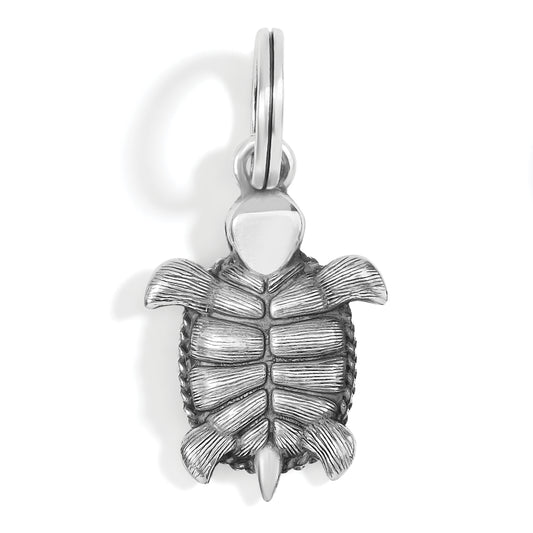 Brighton Pismo Turtle Charm