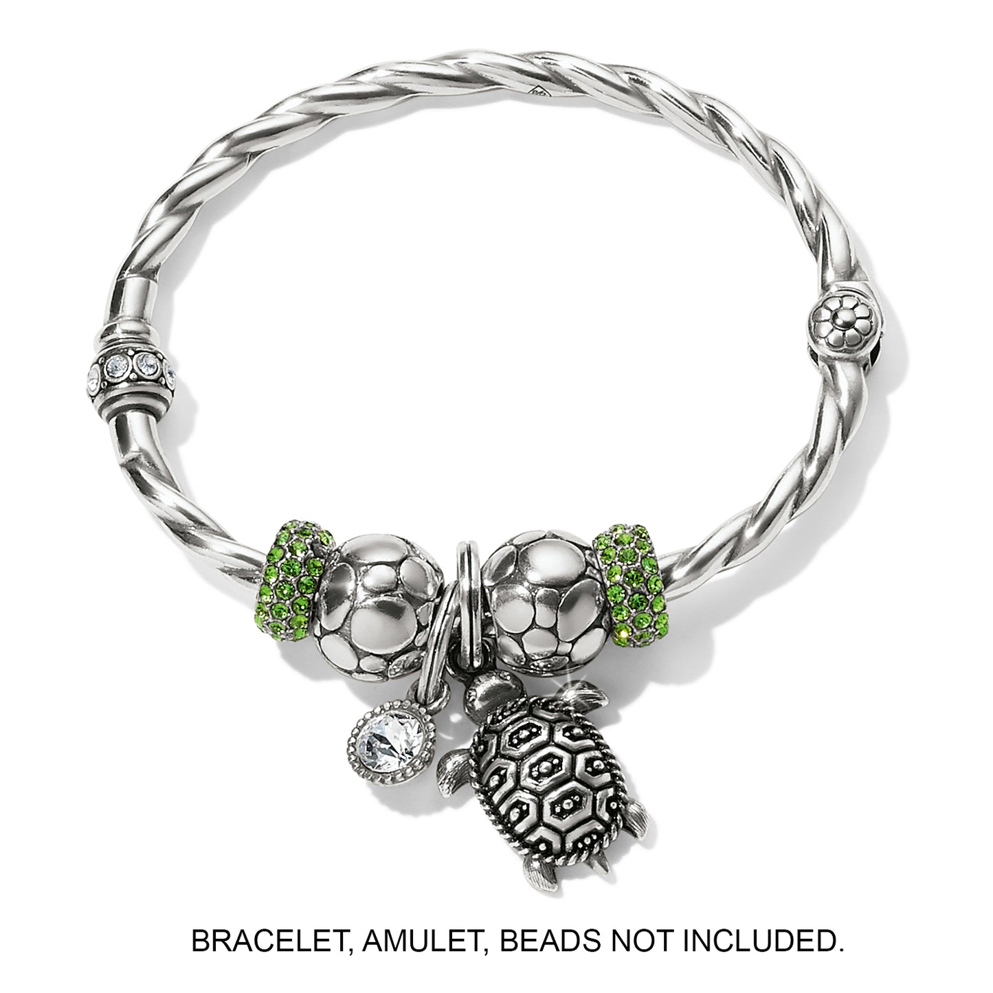 Brighton Pismo Turtle Charm