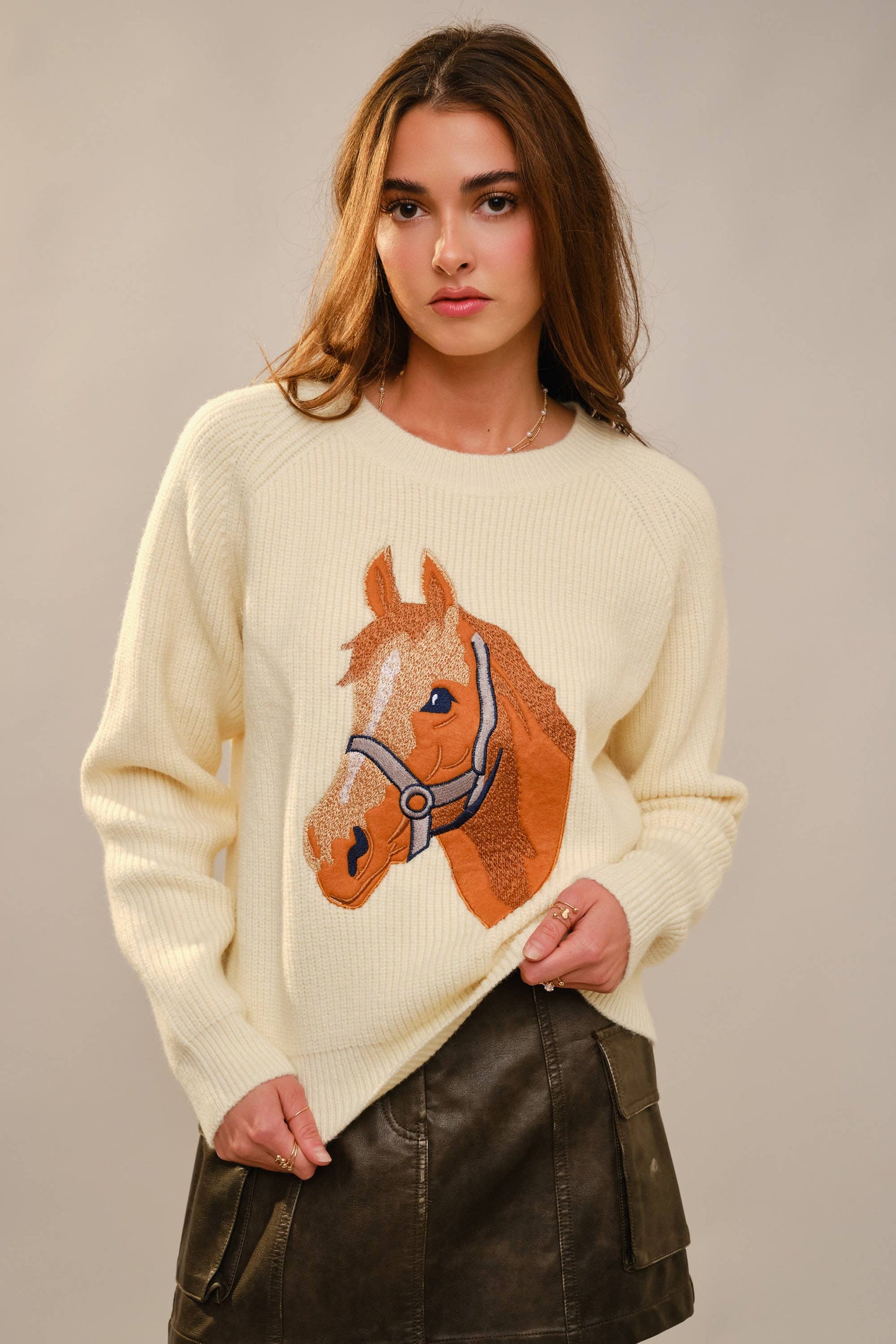Horse Embroidery Knit Pullover Sweater