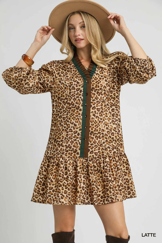 Leopard Print Long Sleeve Mini Dress