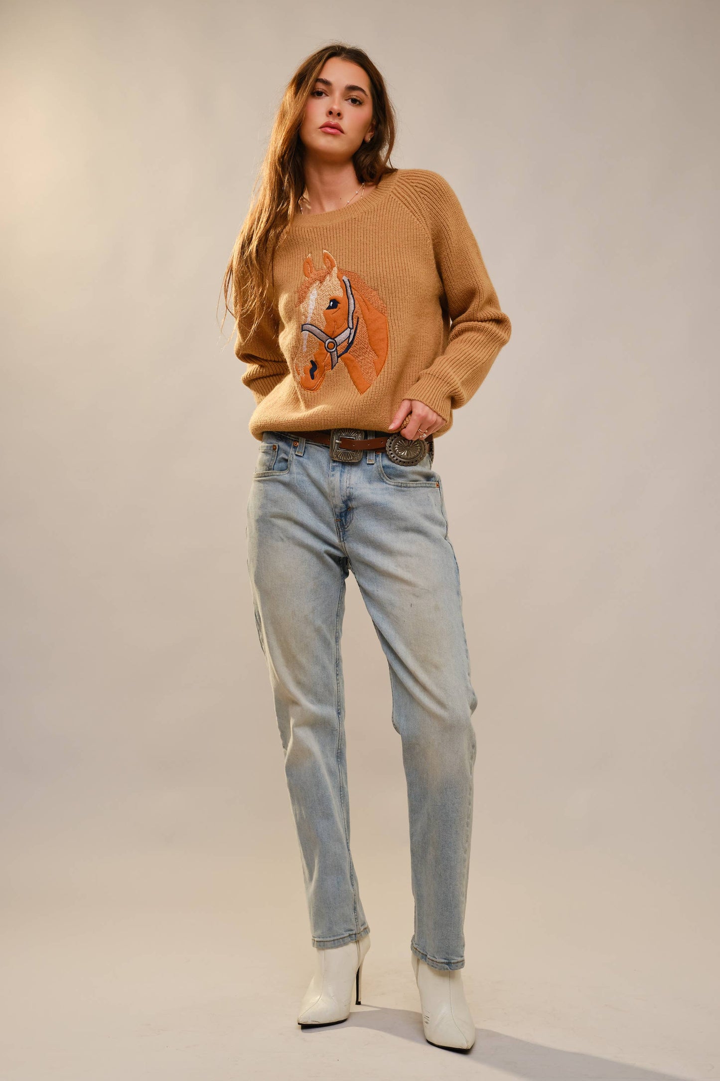 Horse Embroidery Knit Pullover Sweater
