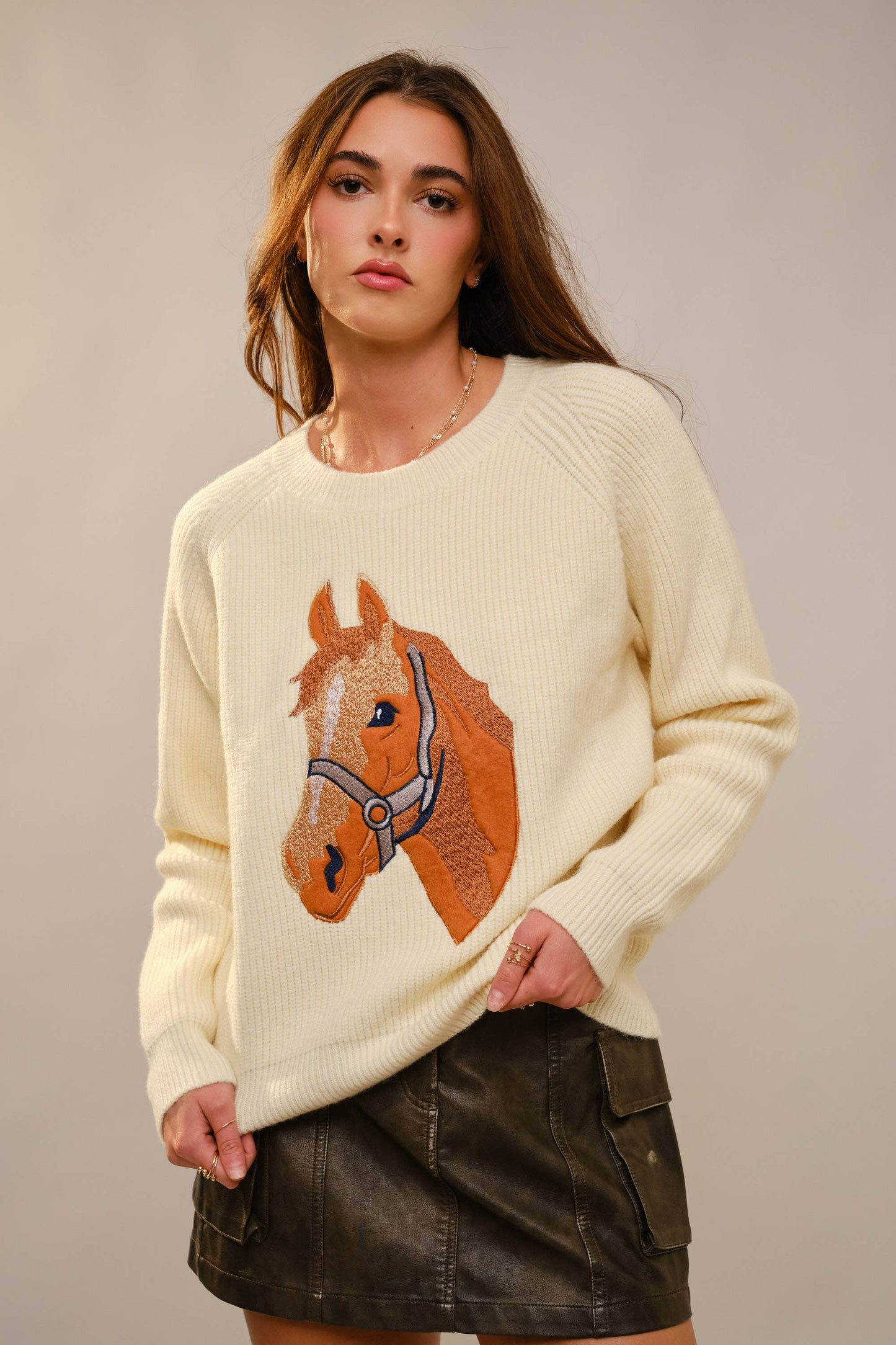 Horse Embroidery Knit Pullover Sweater