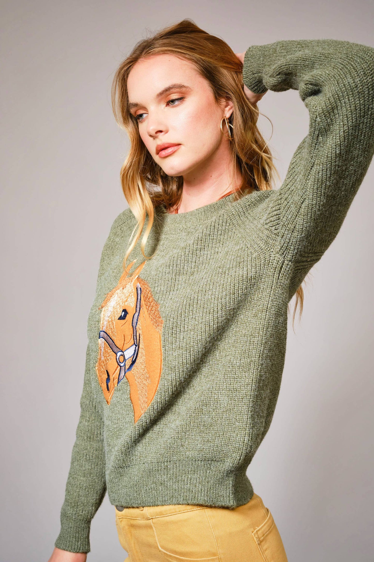Horse Embroidery Knit Pullover Sweater