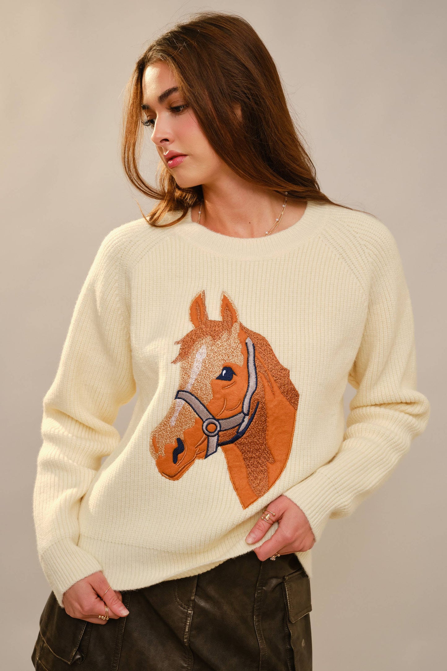 Horse Embroidery Knit Pullover Sweater