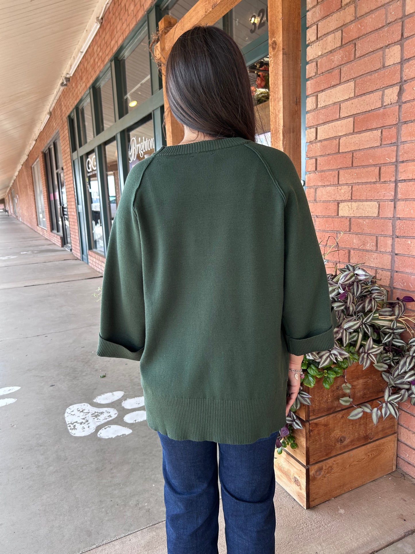 Crewneck Pullover Sweater Knit Top (Beige or Hunter Green)