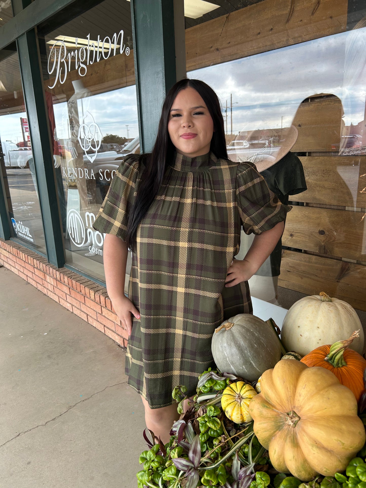 Plaid short puff sleeve mini dress with a stand collar and back self-tie detail