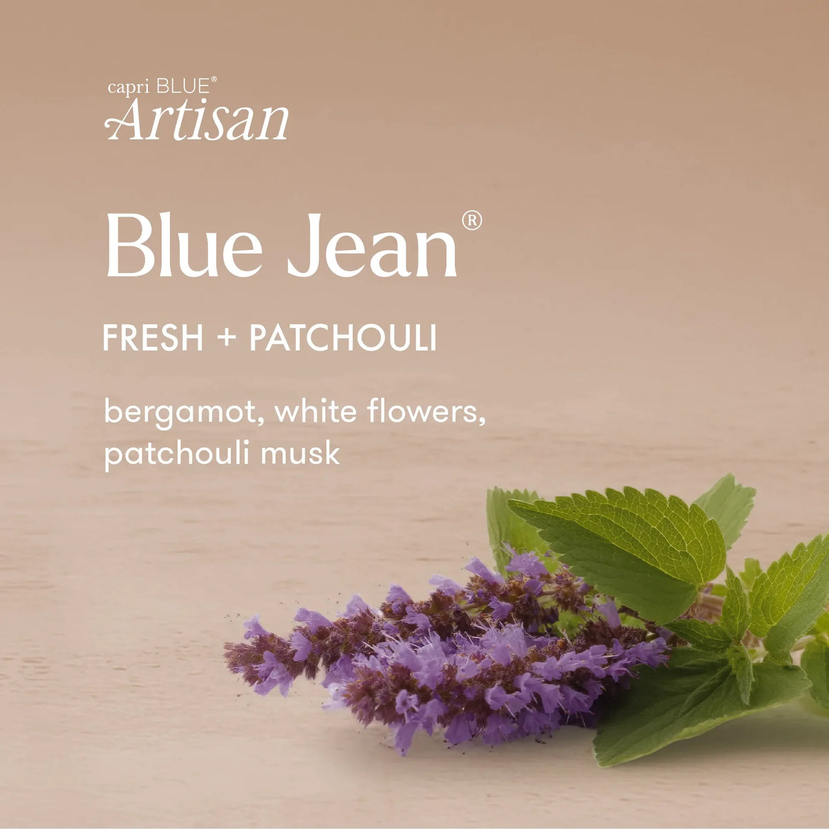 Capri Blue - Blue Jean Artisan Terrazza Velluto Signature Candle 19 oz