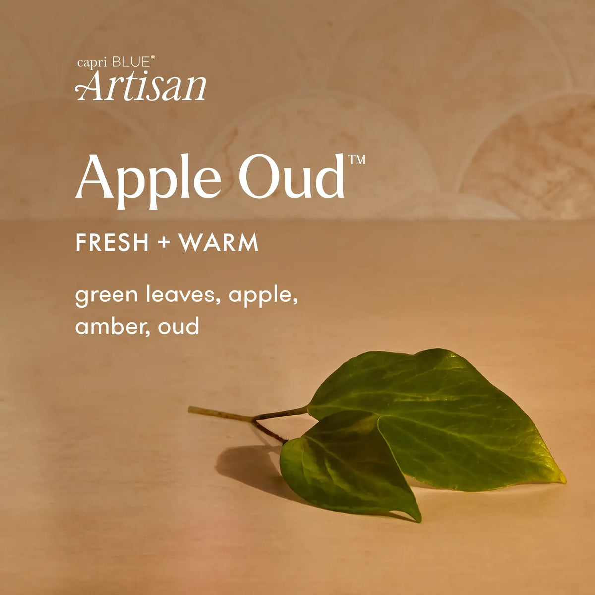 Capri Blue Apple Oud Tuscan Radiance Signature Candle
