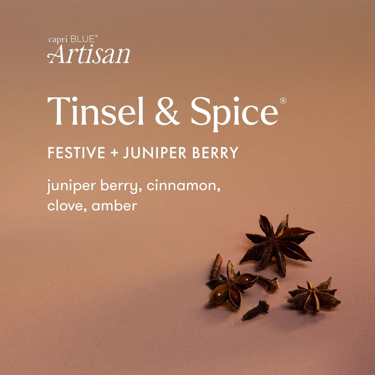 Capri-Blue Tinsel & Spice Winter Bazaar Boxed Tumbler Candle