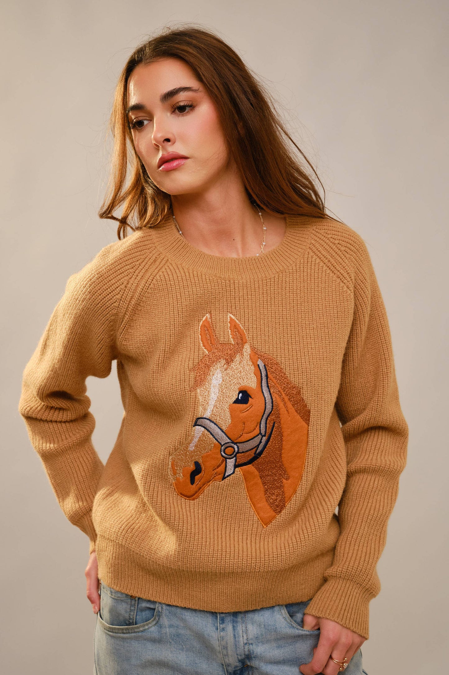 Horse Embroidery Knit Pullover Sweater