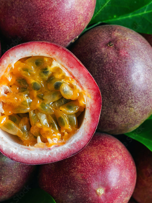 Pura Glasshouse Fragrances  One Night in Rio