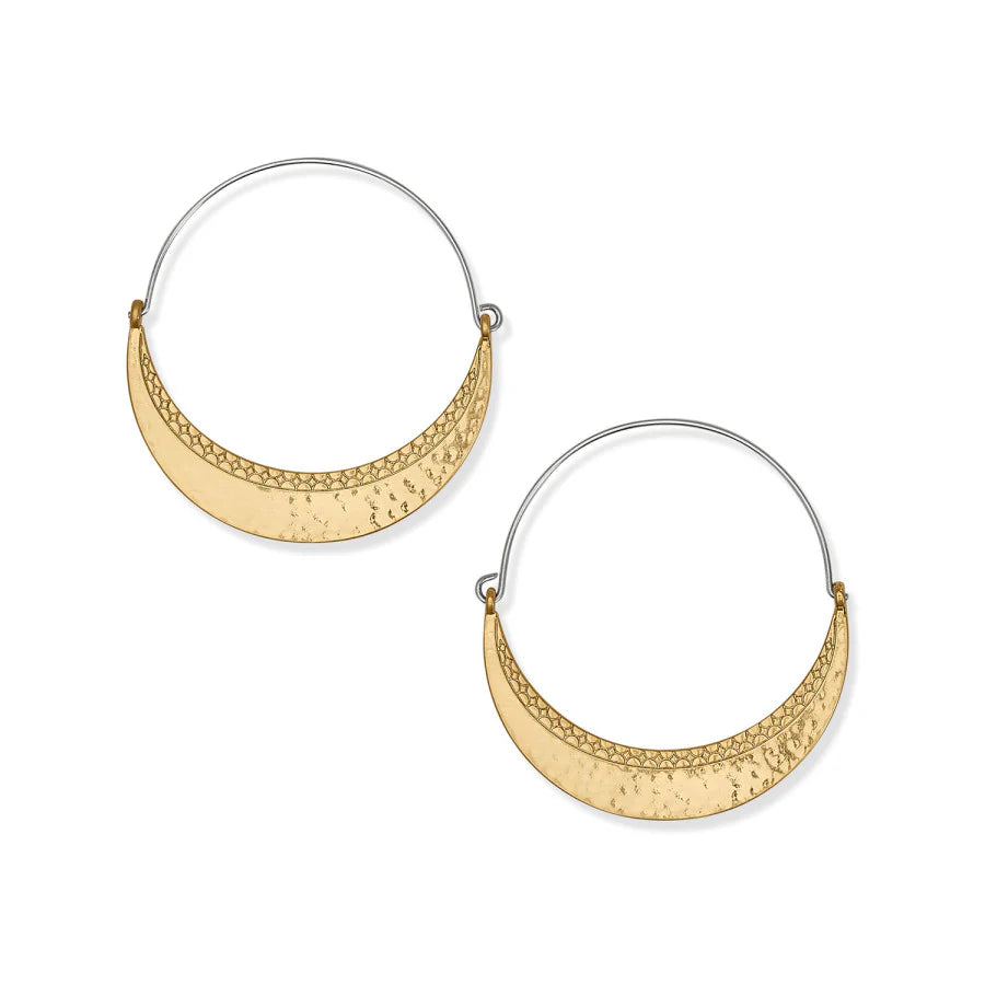 Palm Canyon Gold Hoop Earrings