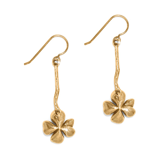 Brighton Everbloom Windflower French Wire Earrings