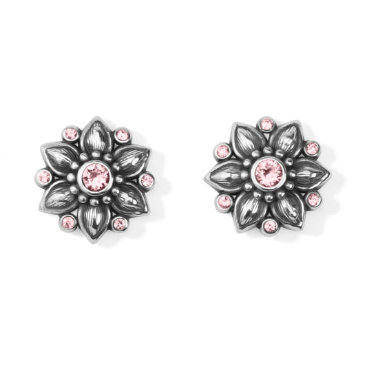 Brighton Cora Mini Post Earrings