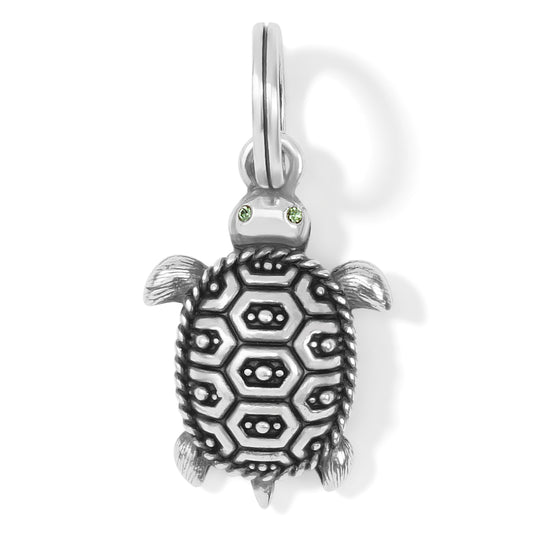 Brighton Pismo Turtle Charm